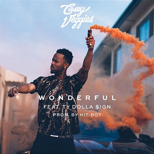 Wonderful Casey Veggies, Ty Dolla $ign