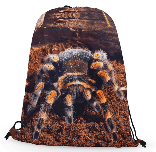 Worko-plecak pająk brachypelma 5made