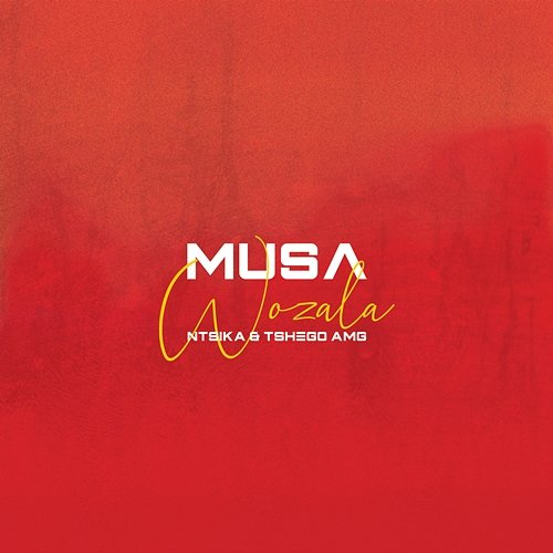 Wozala Musa feat. Ntsika, Tshego AMG