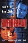 Wrobieni Petrie Daniel