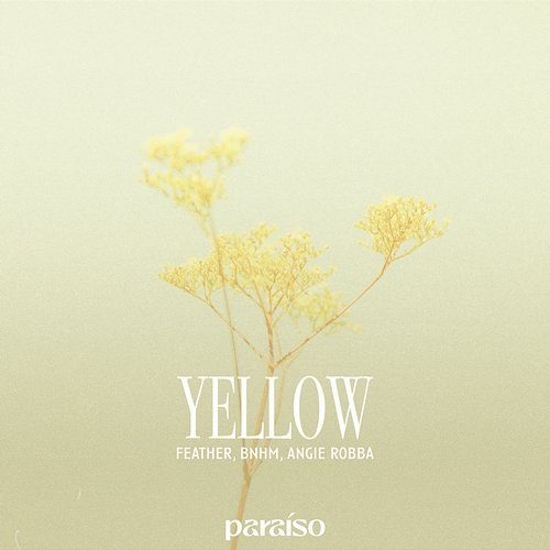 Yellow Feather, BNHM, Angie Robba