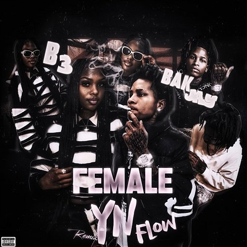 YN Flow Bri3 feat. BAK Jay