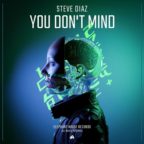 You Don't Mind Steve Diaz