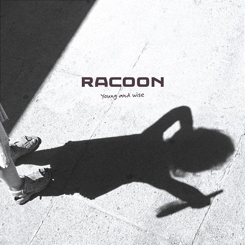 Young and Wise Racoon