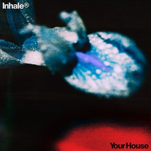 Your House Inhaler