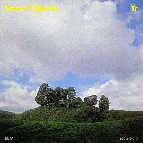 Yr Steve Tibbetts