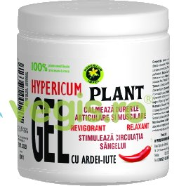 Żel Chilli 500ml HYPERICUM