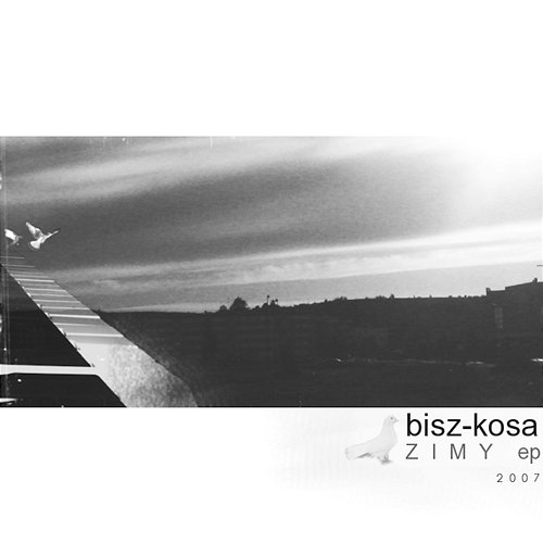 Zimy Bisz, Kosa