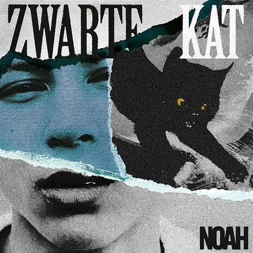 Zwarte Kat Noah